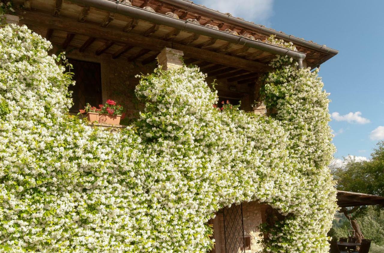 Villa Novellina Certaldo Exterior foto
